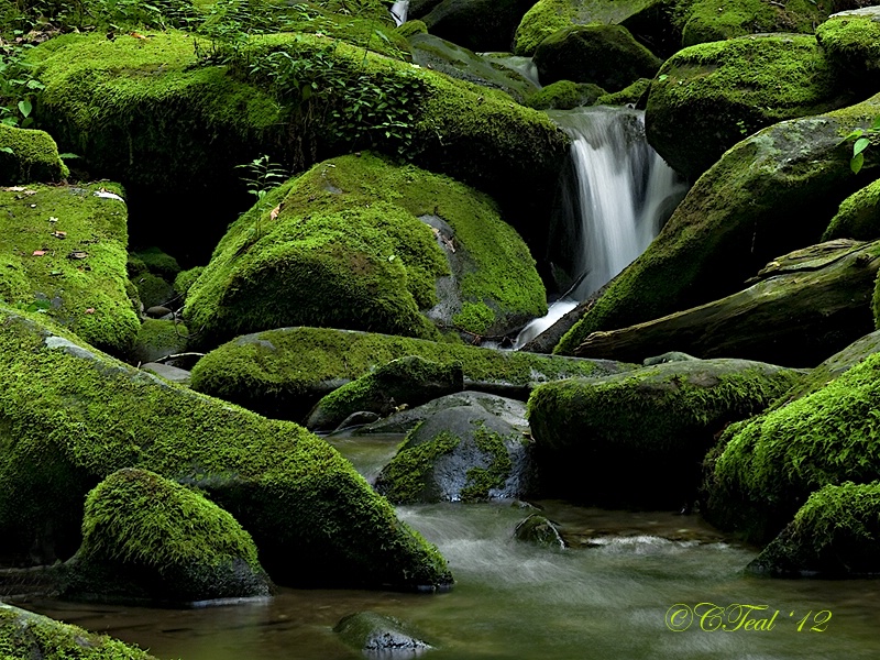 Babbling Brook