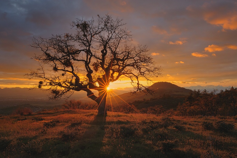 Rogue Valley Sunset