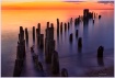 Sunrise at Gross ...