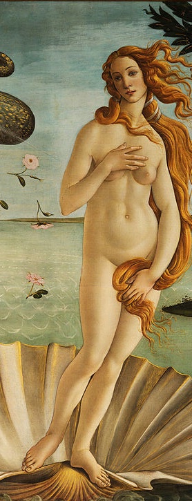 The Birth of Venus Tuesday 2