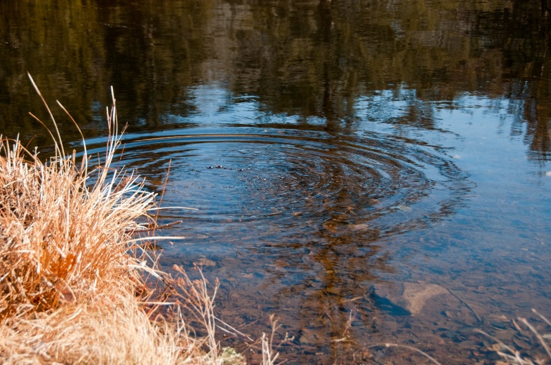 Bubbles and Ripples