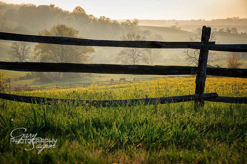 Horse Country