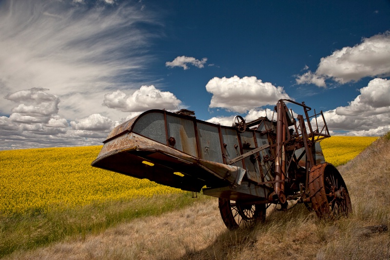 Out To Pasture