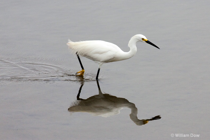 img 7622 - ID: 13968158 © William Dow