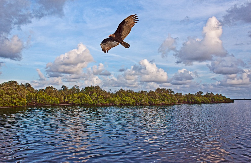 Florida flight