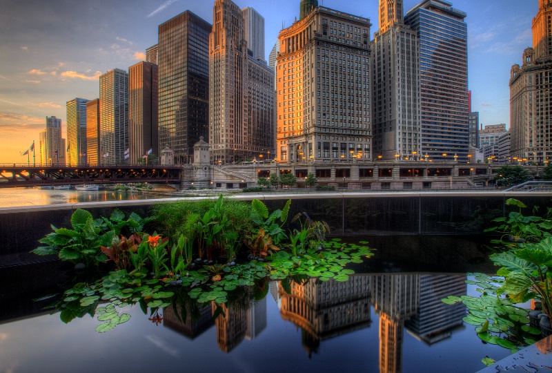 Chicago Sunrise Reflections