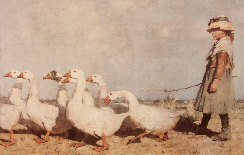 Herding a flock of Ducks 1