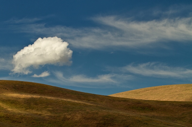 Land Meets Sky