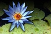 The Gift of Water
