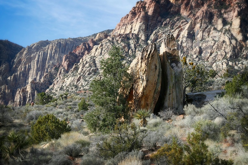  Red Rock Canyon