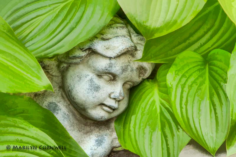 Tatiana Falls Asleep - ID: 13974181 © Marilyn Cornwell