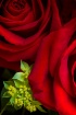 Love Beyond Measu...