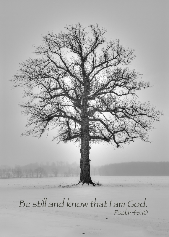 Allegan Winter Tree / Psalm 46:10 - ID: 13978514 © Leland N. Saunders