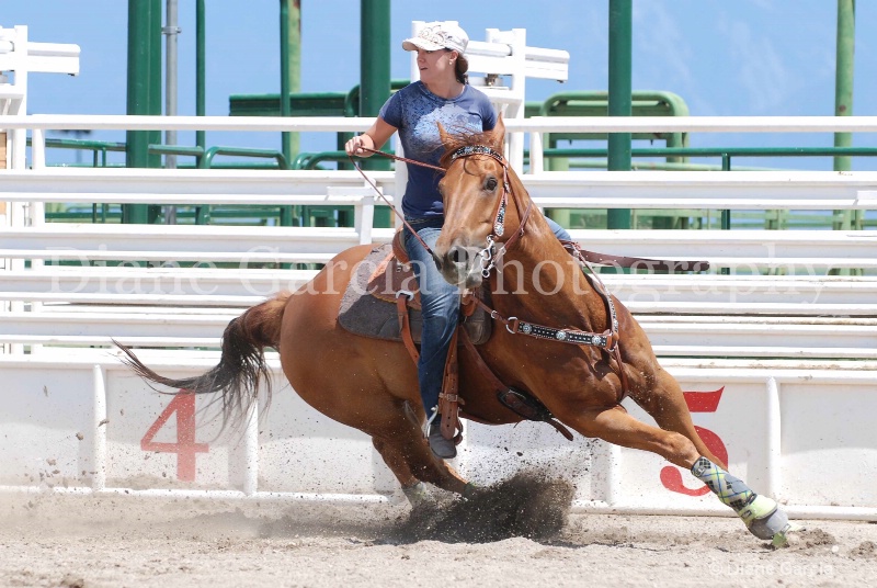 ujra parent rodeo 2013   16  - ID: 13986812 © Diane Garcia