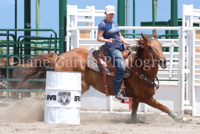 ujra parent rodeo 2013   15  - ID: 13986813 © Diane Garcia