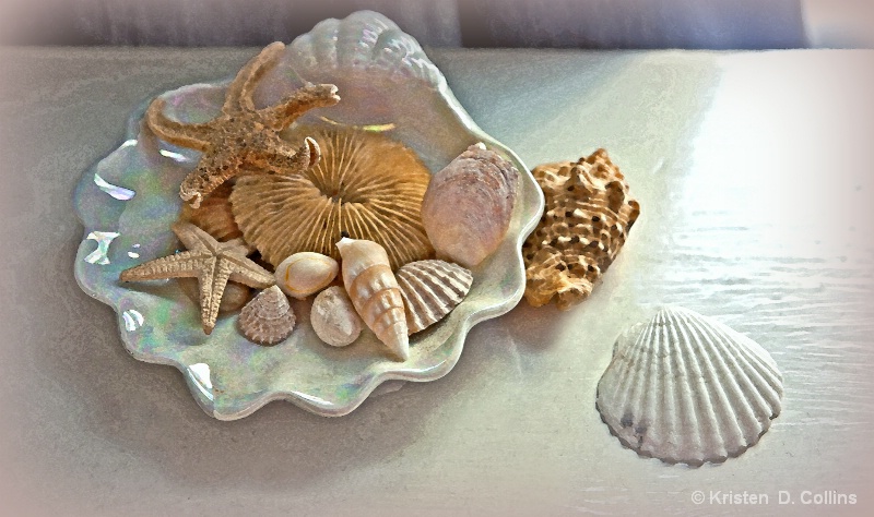 Still Life with Shells