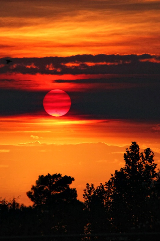 Smoky Mojave Sunrise