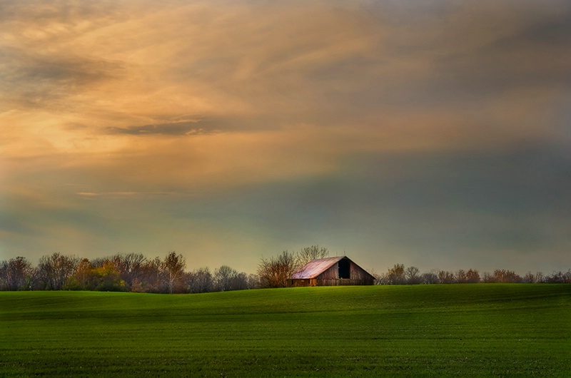 Autumn Afternoon