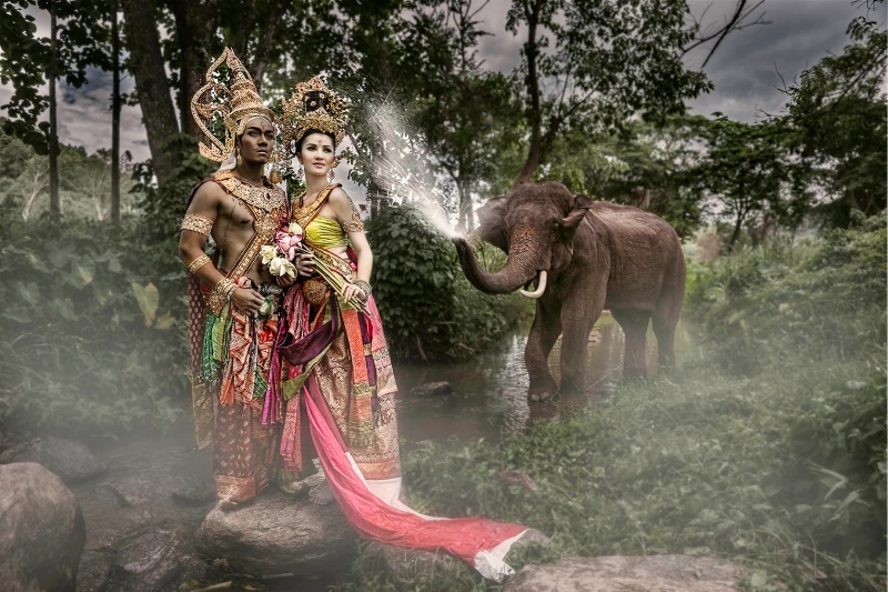 Patara Elephant Farm, Chiangmai