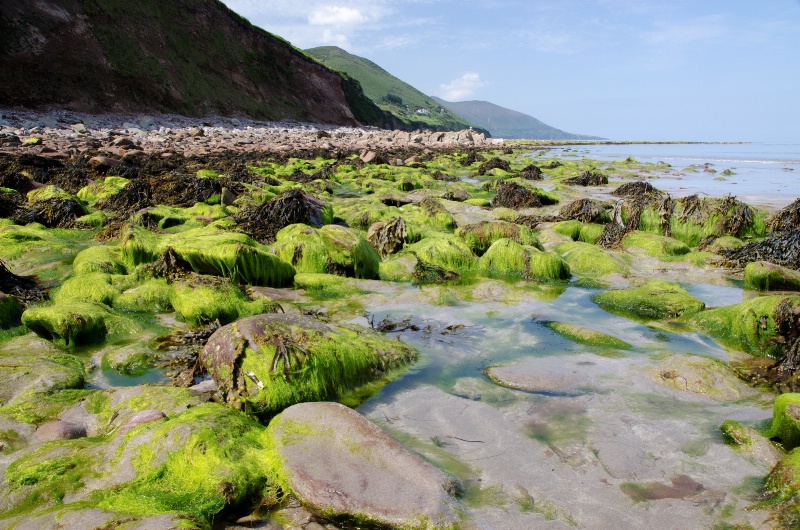 Rossbeigh Beach 