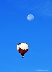 Fly me to the moo...