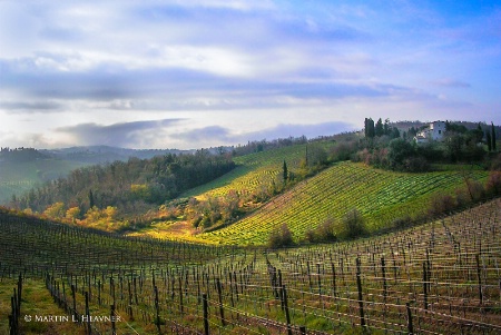 Evening Light - Borgo Argenina, Gaiole - Italy