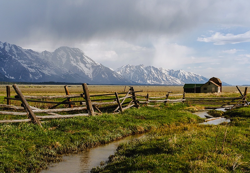 Fence Line