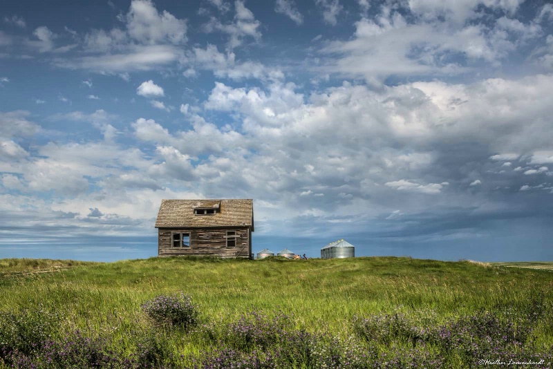 The House Up On The Hill