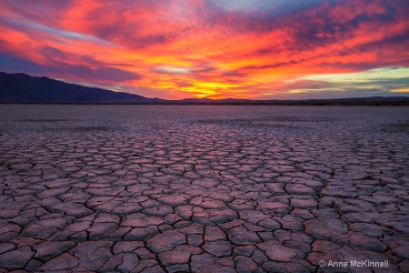 Clark Dry Lake