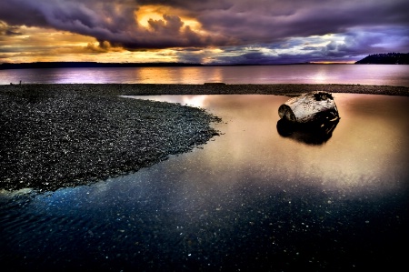 Driftwood in Tidepool