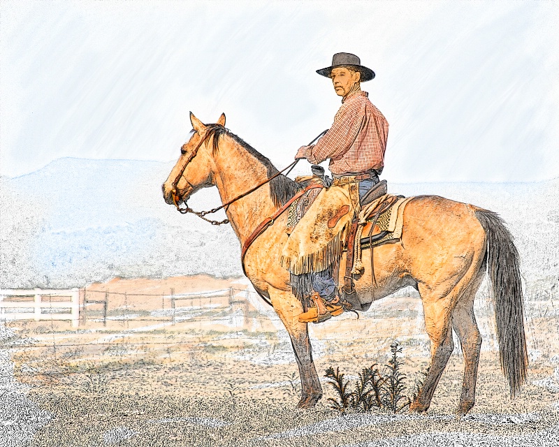 Stately Cowboy