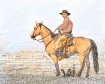 Stately Cowboy