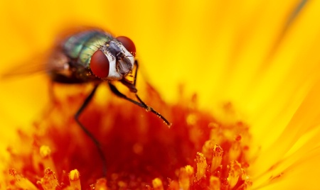 Photo Contest 1st Place Prize Winner