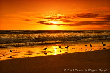 Sunset Hunters 