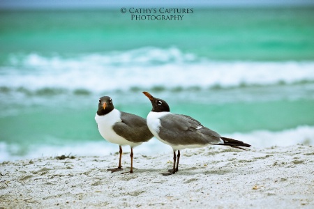 ~On the Beach~