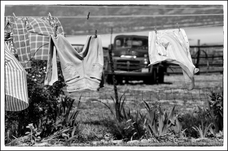 Hung Out to Dry