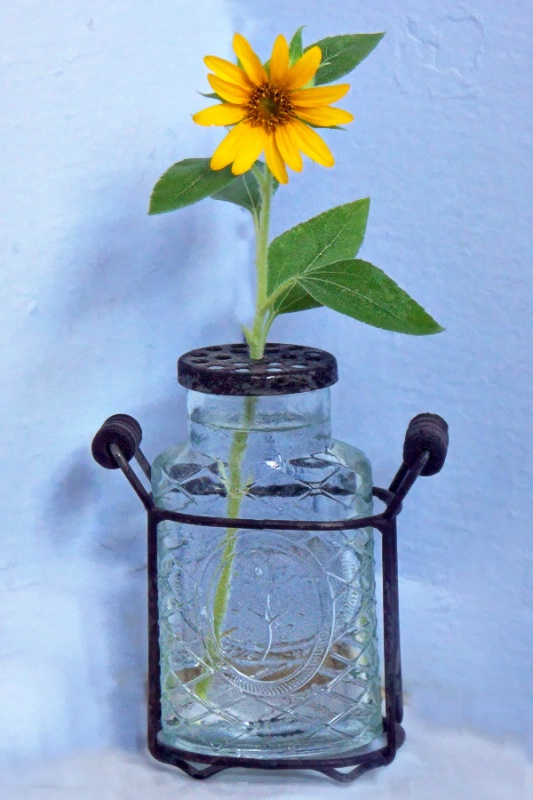 One Little Sunflower