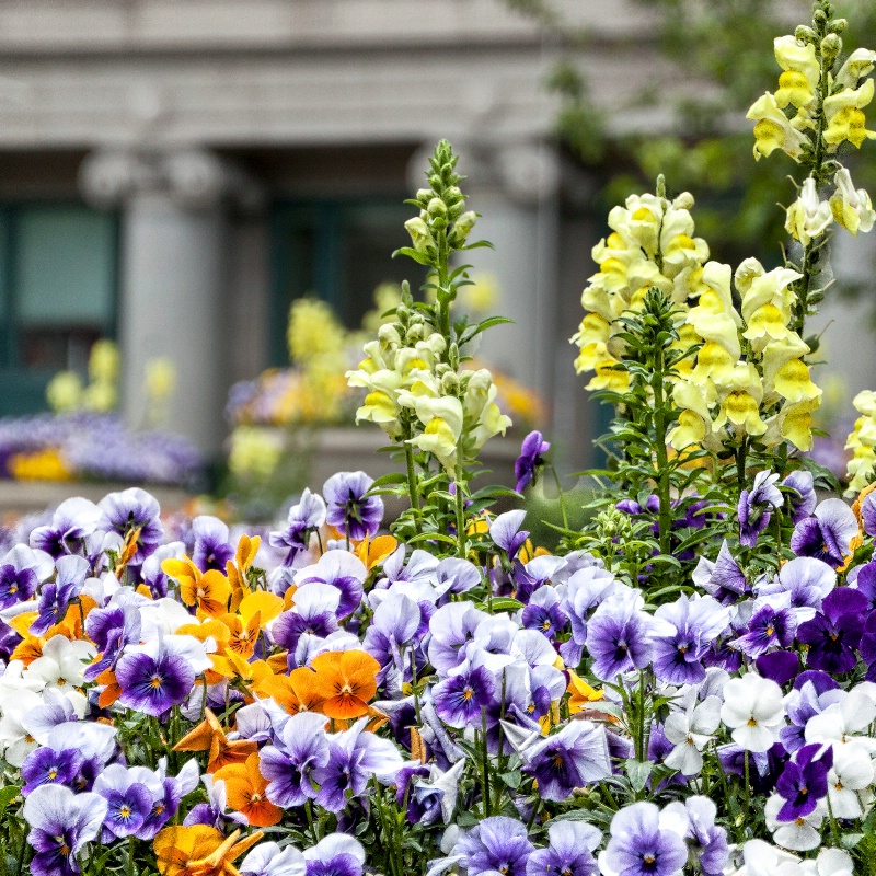 Street Decor