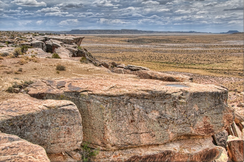 Petrified Forest