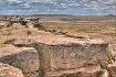 Petrified Forest