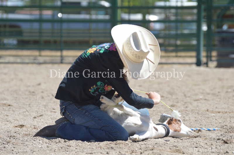 afton mccourt ujra finals 2013 4 - ID: 14022134 © Diane Garcia