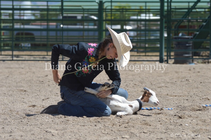 afton mccourt ujra finals 2013 3 - ID: 14022135 © Diane Garcia