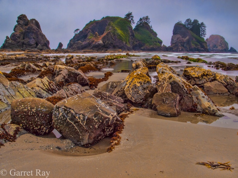 ~Point of Arches, WA~