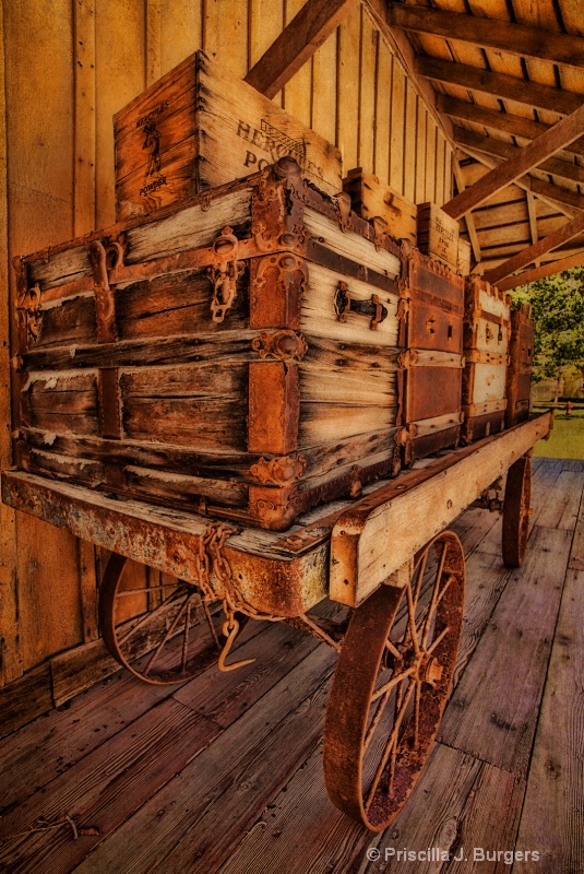 The Luggage Cart