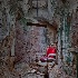 © Elliot Barnathan PhotoID# 14027906: The Barber's Chair