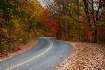 Autumn Drive