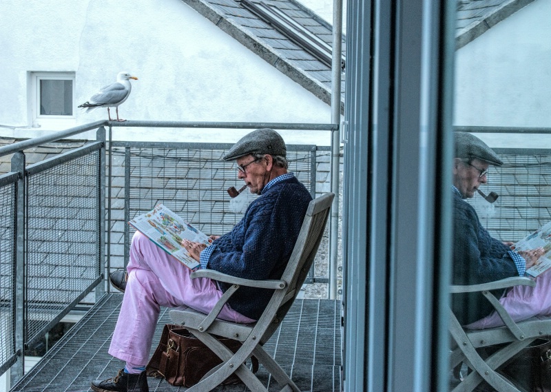 Even seagulls get bedtime stories!