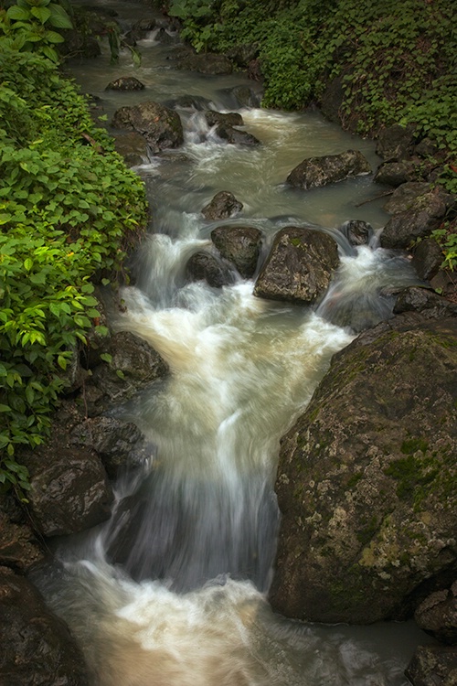 The Brook - ID: 14029581 © Mayra Thompson