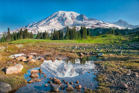 Mt Rainier Reflection