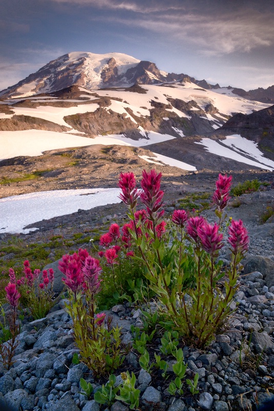 Sunrise on Rainier